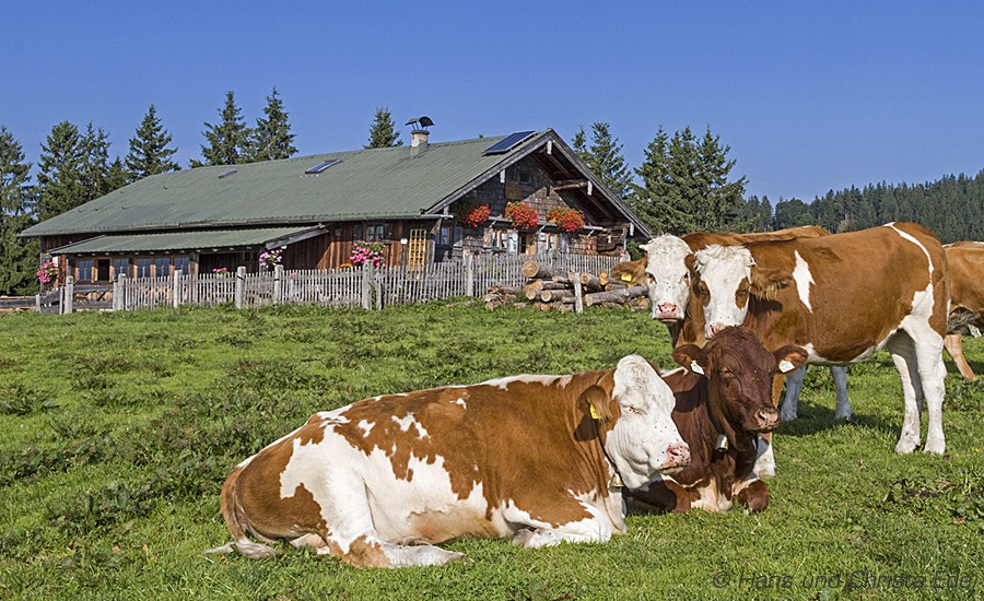 Tipps für Aktive Gästehaus Tegernsee